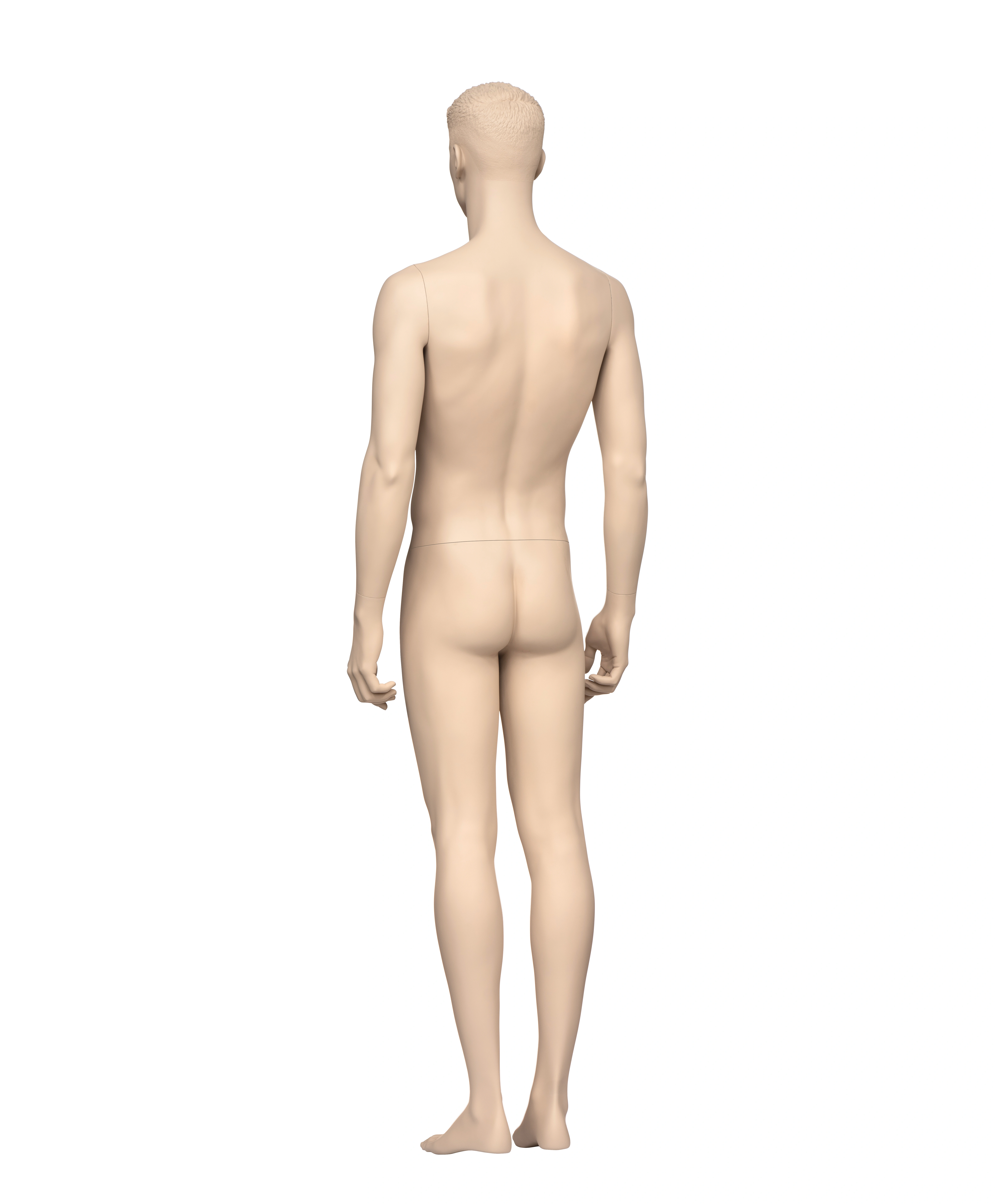 male mannequins realistic AG01
